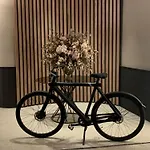 アパートホテル ロス ヒラソレス