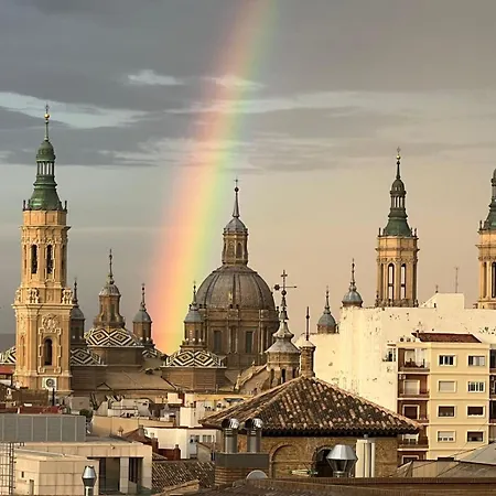 Girasoles Zaragoza