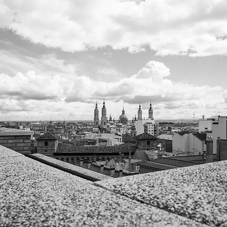 Girasoles Сарагоса
